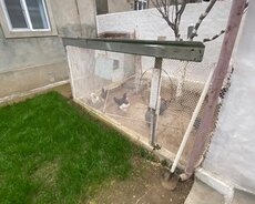 Sabunçu r., Maştağa q.