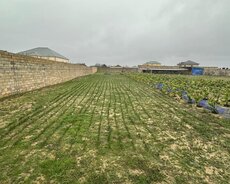 Sabunçu r., Maştağa q.