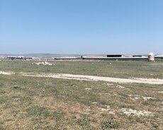 Abşeron r., Novxanı q.