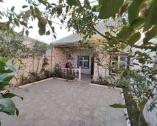 Xəzər r., Buzovna q.