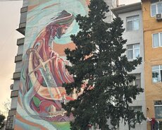 Nərimanov r., Nəriman Nərimanov m.