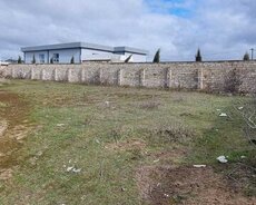 Xəzər r., Buzovna q.