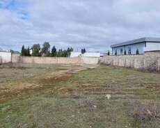 Xəzər r., Buzovna q.