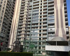 Yasamal r., Elmlər Akademiyası m.