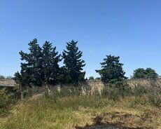 Xəzər r., Buzovna q.