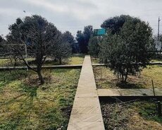 Xəzər r., Buzovna q.