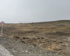 Şamaxı, Şamaxıda 20 sot torpaq satılır