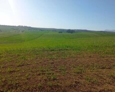 Qusar, Qusar rayonu kupçalı torpaq