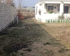 Xəzər r., Buzovna q.