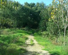 Xətai r., Həzi Aslanov m.