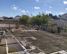 Xəzər r., Buzovna q.