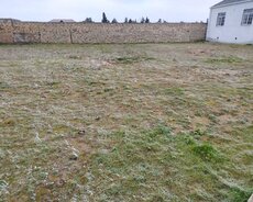 Sabunçu r., Maştağa q.