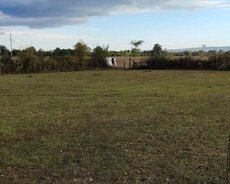 Qəbələ, Boş torpaq sahəsi satılır