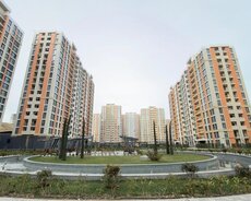 Yasamal r., Elmlər Akademiyası m.