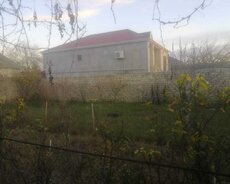 Xəzər r., Buzovna q.