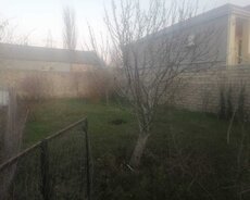 Xəzər r., Buzovna q.