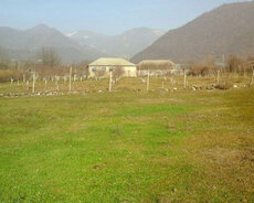 Şamaxı, Kupçalı torpaq satılır