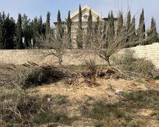 Sabunçu r., Nardaran q.