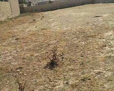 Abşeron r., Qobu q.