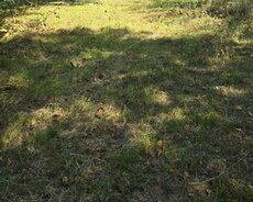 İsmayıllı, Satlir torpaq