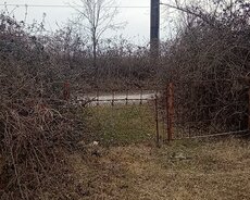 Qəbələ, Qəbələ şəhəri