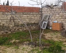 Sabunçu r., Maştağa q.