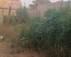 Sabunçu r., Maştağa q.