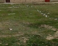 Binəqədi r., Avtovağzal m.