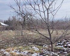 Qusar, Torpaq satılır