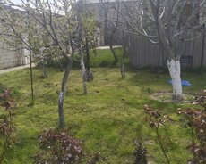 Suraxanı r., Qaraçuxur q.