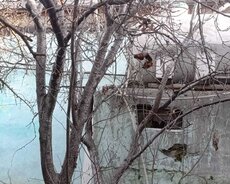 Sabunçu r., Maştağa q.