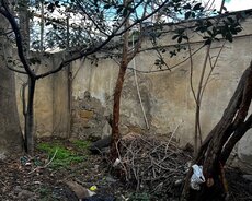 Nərimanov r., Gənclik m.