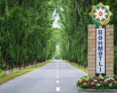 Zaqatala, 20 sot torpaq