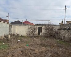 Xəzər r., Buzovna q.