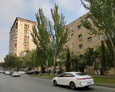 Xətai r., Əhmədli m.