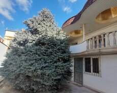 Nəsimi r., Memar Əcəmi m.