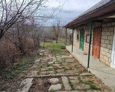 Şamaxı, Şamaxı, Çuxuryurdda torpaq satılır