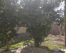 Suraxanı r., Zığ q.