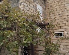 Qaradağ r., Lökbatan q.