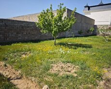 Xəzər r., Buzovna q.