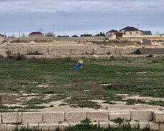 Suraxanı r., Hövsan q.