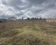 Xəzər r., Buzovna q.