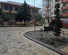 Xətai r., Xətai m.