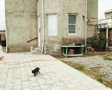 Suraxanı r., Yeni Günəşli q.