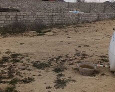 Sabunçu r., Maştağa q.