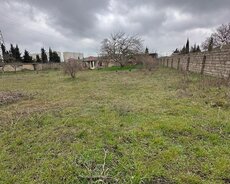 Xəzər r., Buzovna q.