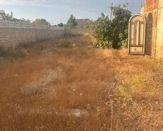 Xəzər r., Buzovna q.