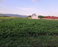Şamaxı, Şamaxı rayonu qizmeydan kendi