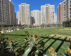 Yasamal r., Elmlər Akademiyası m.