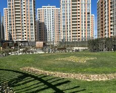 Yasamal r., Elmlər Akademiyası m.